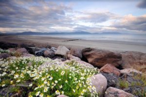 quilt cruises, quilt trips, quilt tours, quilt travel