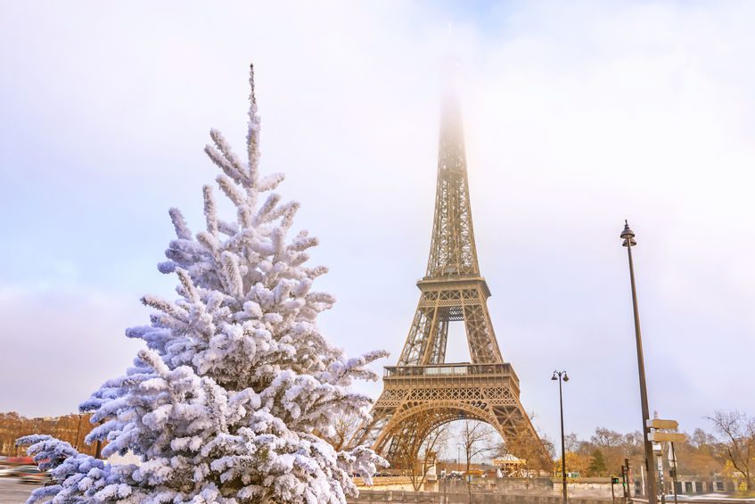 Photo of snow-covered pine tree in front of Eiffel Tower in winter